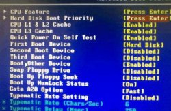 怎么在BIOS中找到USB-HDD选项方法教程