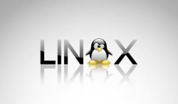 干货分享：Linux命令大全