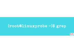 如何在 Linux 中使用 grep 命令的排除功能